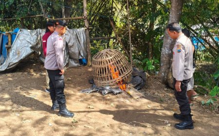Polisi Bongkar dan Bakar Arena Diduga Sabung Ayam di Gedangan Malang