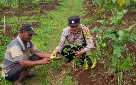    Polres Malang Konsisten Dukung Ketahanan Pangan Melalui Pemanfaatan Potensi Desa