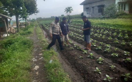 Polres Malang Perkuat Ketahanan Pangan dengan Mendorong Inovasi Pemanfaatan Lahan Produktif