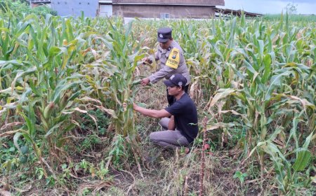 Polres Malang Galakkan Pemanfaatan Potensi Pertanian untuk Perkuat Ketahanan Pangan