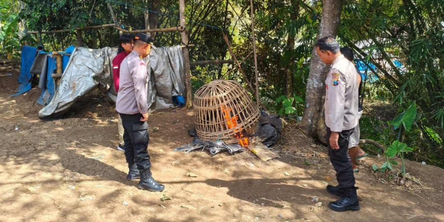 Polisi Bongkar dan Bakar Arena Diduga Sabung Ayam di Gedangan Malang