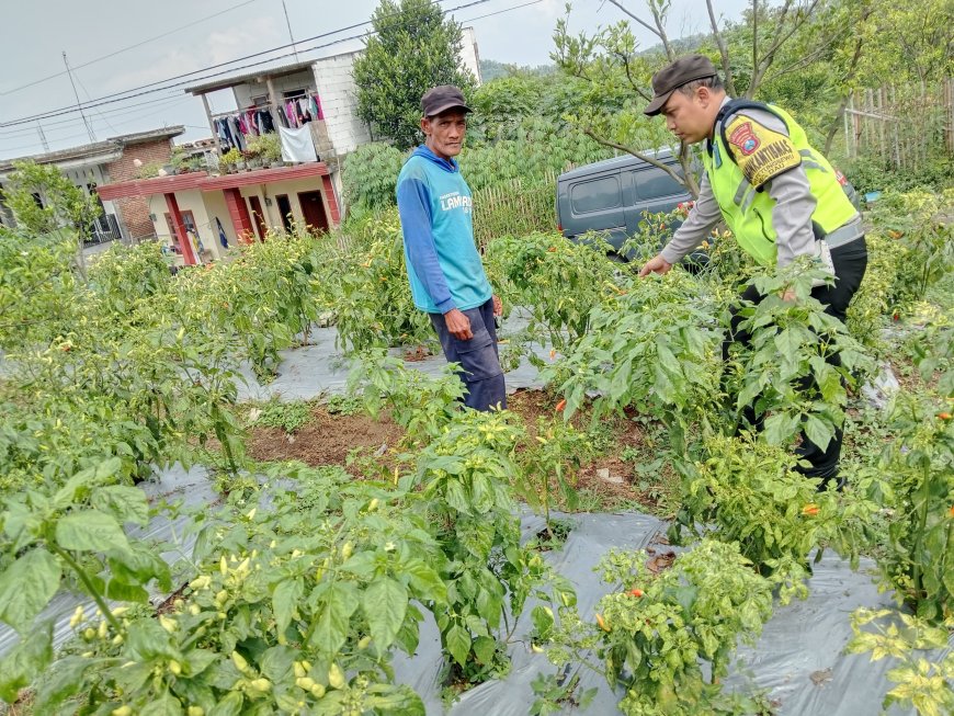 Polres Malang Dorong Produktivitas Masyarakat melalui Program Ketahanan Pangan