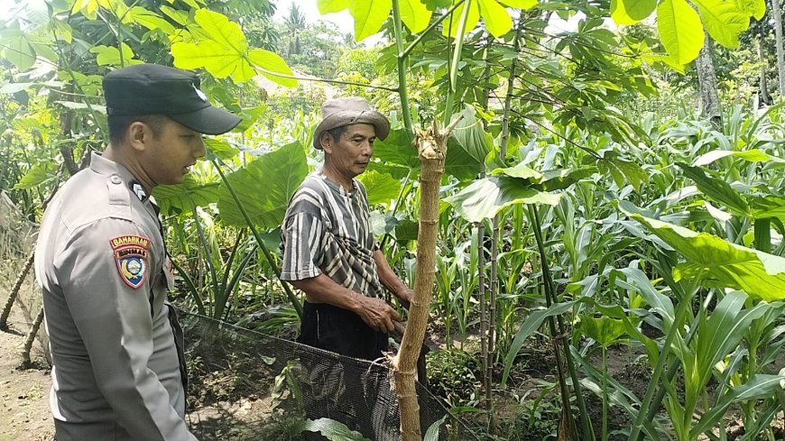 Polres Malang Perkuat Kolaborasi Menuju Swasembada Pangan di Kabupaten Malang