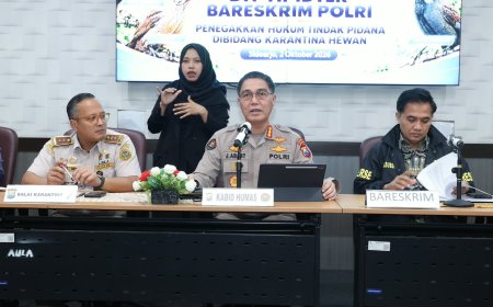 Bareskrim Polri Ungkap Dugaan Penyelundupan Ribuan Burung Tanpa Dokumen Karantina di Sidoarjo, Dua WNA Vietnam Jadi Tersangka
