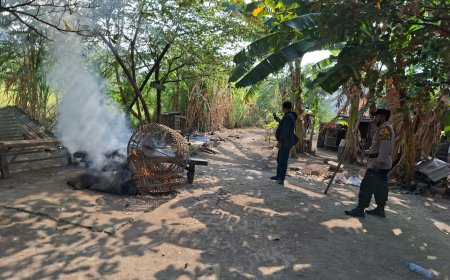 Polsek Waru Bongkar Arena Sabung Ayam di Bungurasih Utara
