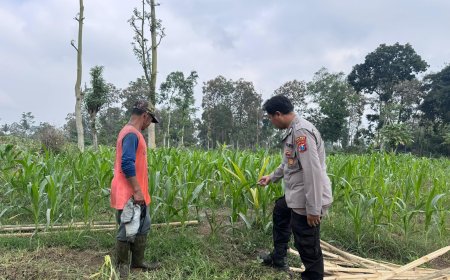 Polres Malang Kawal Upaya Menjaga Ketersediaan Pangan di Daerah