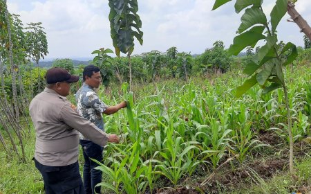 Lahan Produktif Jadi Perhatian, Polres Malang Dukung Ketahanan Pangan