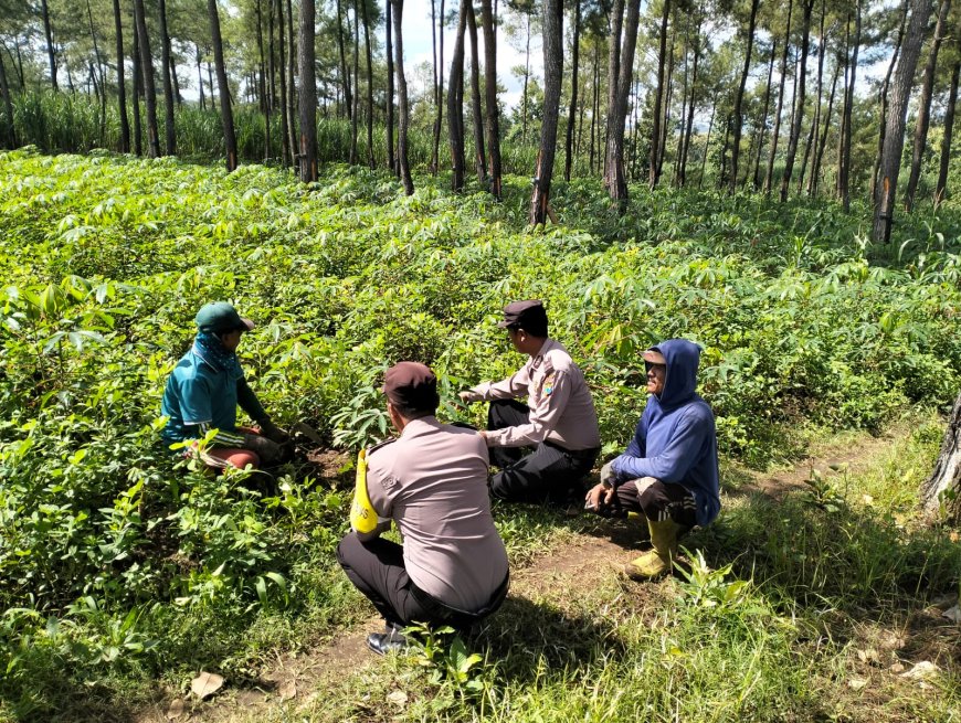 Polres Malang Kawal Pertanian Warga dari Desa hingga Distribusi