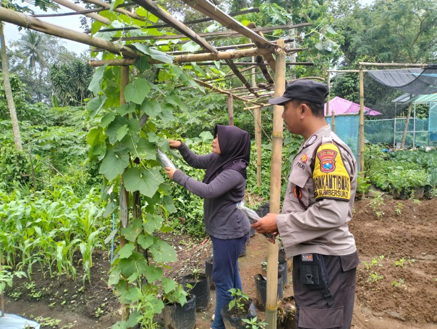 Polisi Ikut Pantau Jalur Hasil Panen, Distribusi Pangan Jadi Perhatian